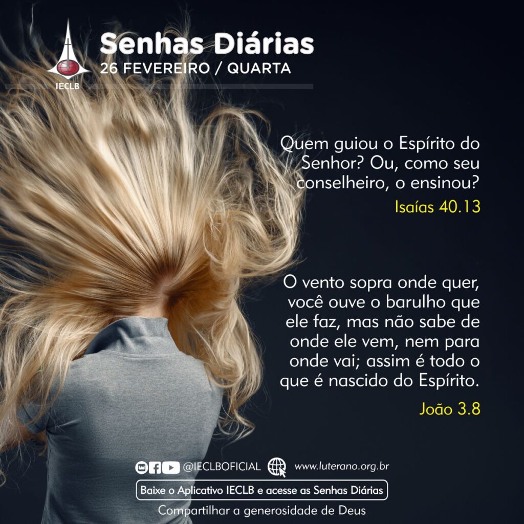 Senhas Diárias 26 02 2025