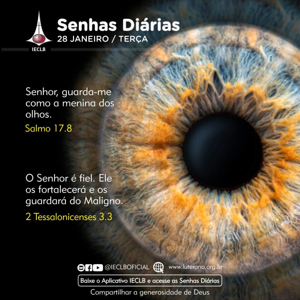 Senhas Diárias - 28 01 2025