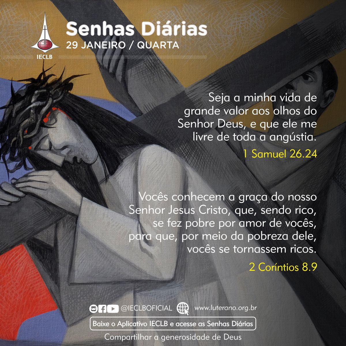 Senhas Diárias - 29 01 2025