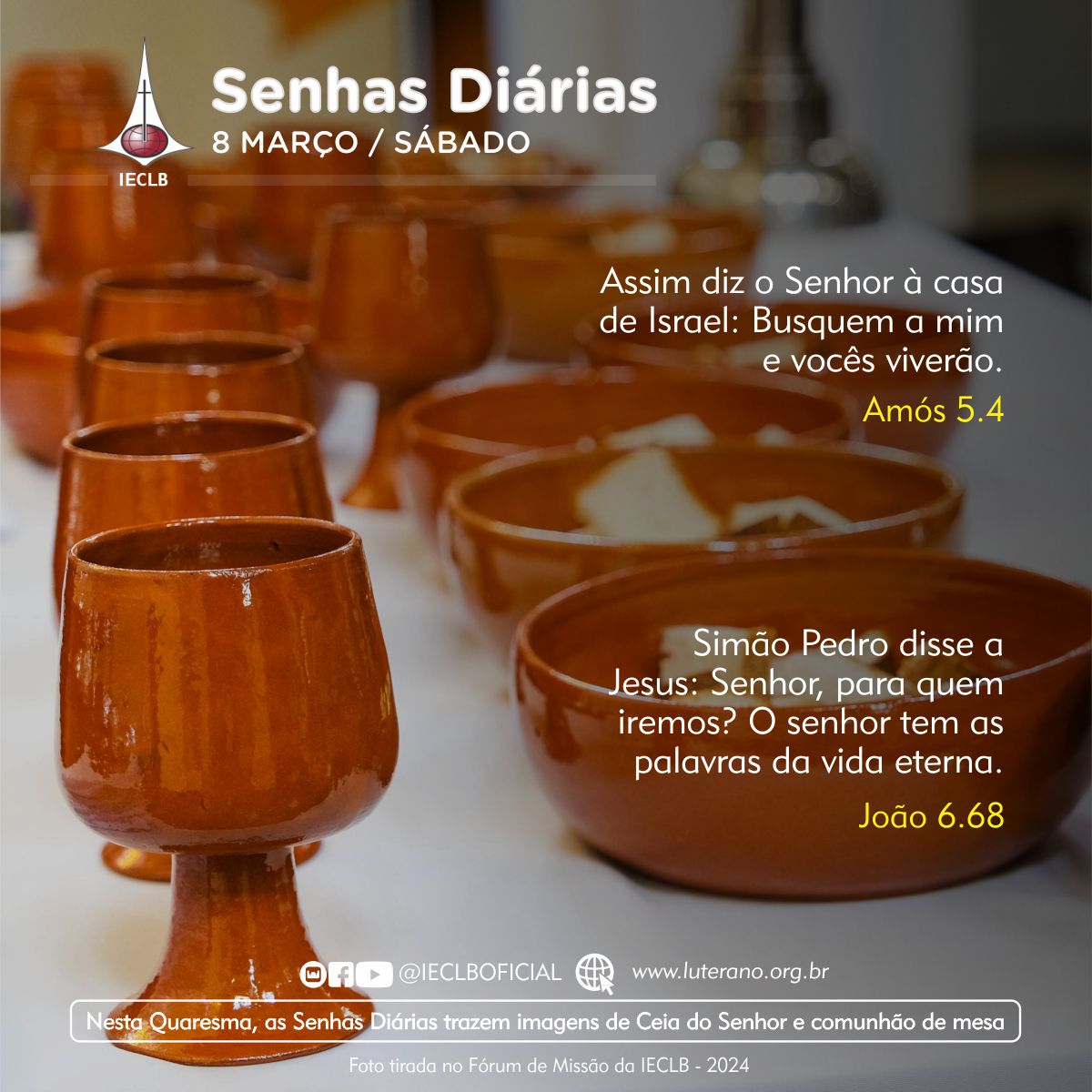 Senhas Diárias 08 03 2025