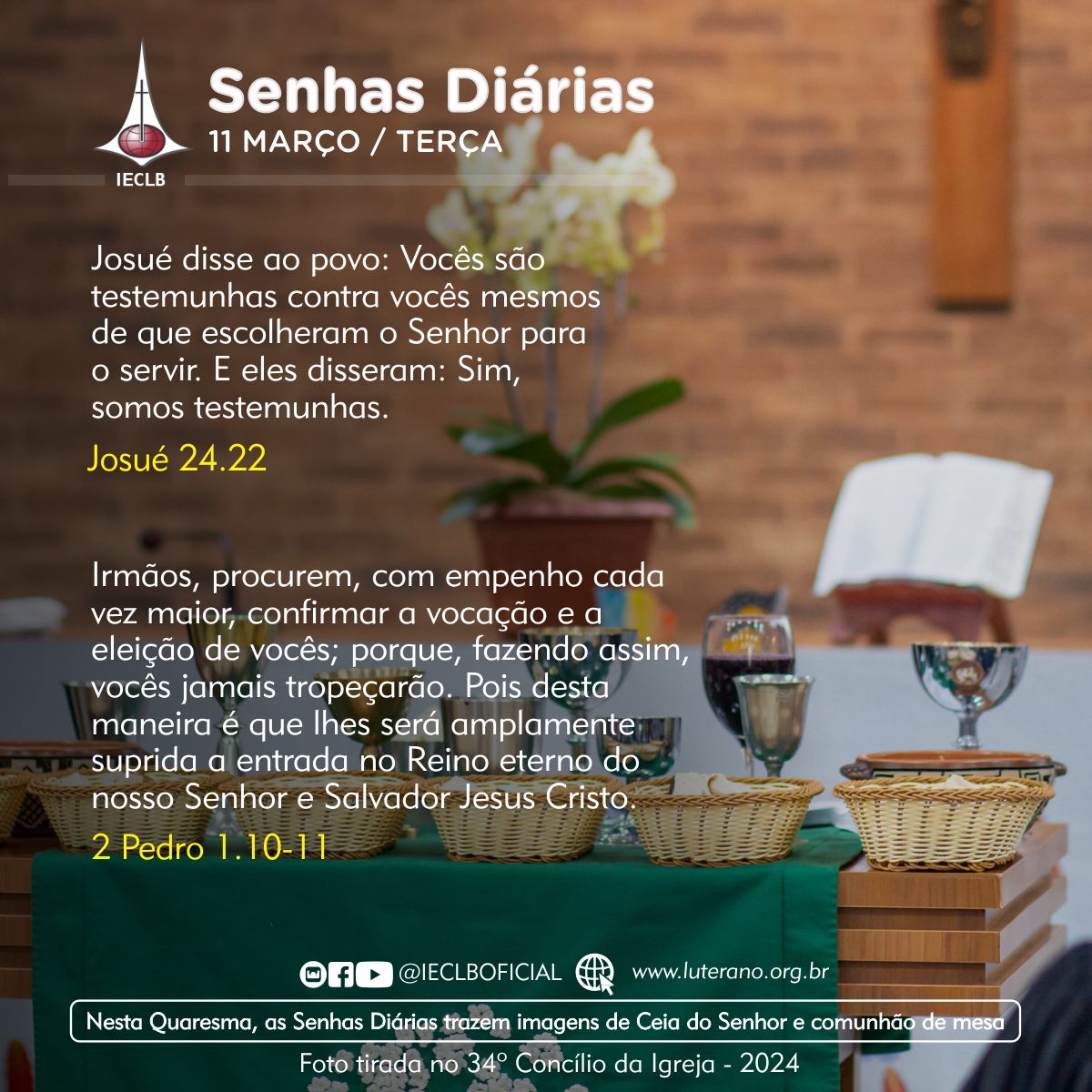 Senhas Diárias 11 03 2025