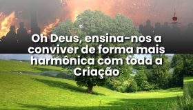 harmonia na criação de Deus